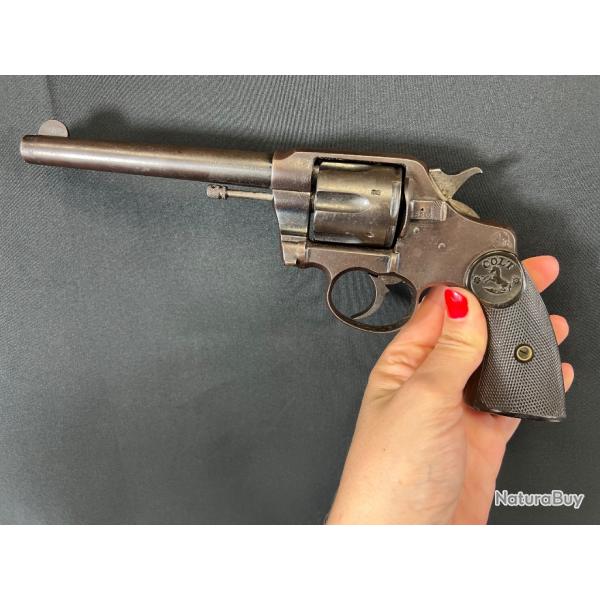 COLT 1895/1907 cal 41