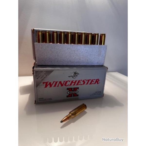 Munitions 300WSM Winchester Power Point