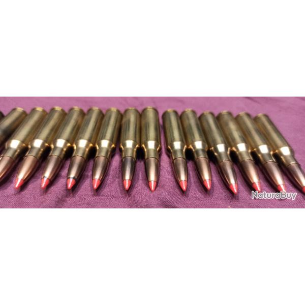 Balles 7mm08 Rem 14Nosler ballistic tip nylon et 6? 20balles en tout!!!