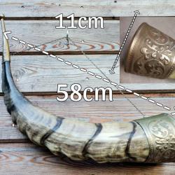 Corne naturelle de bouquetin objet rare