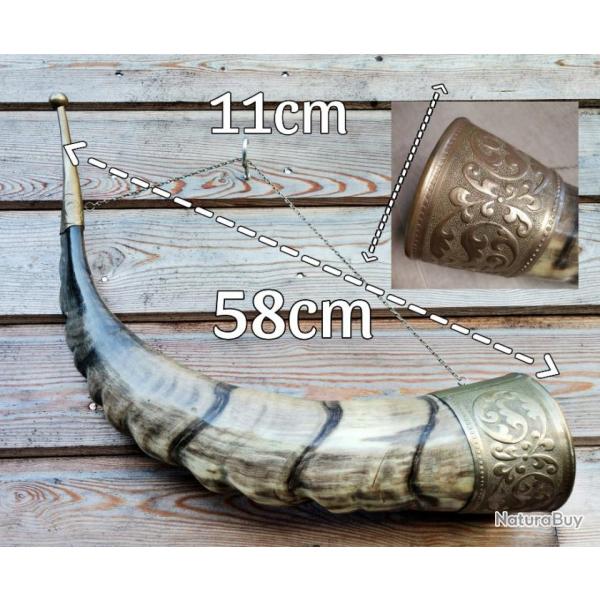 Corne naturelle de bouquetin objet rare