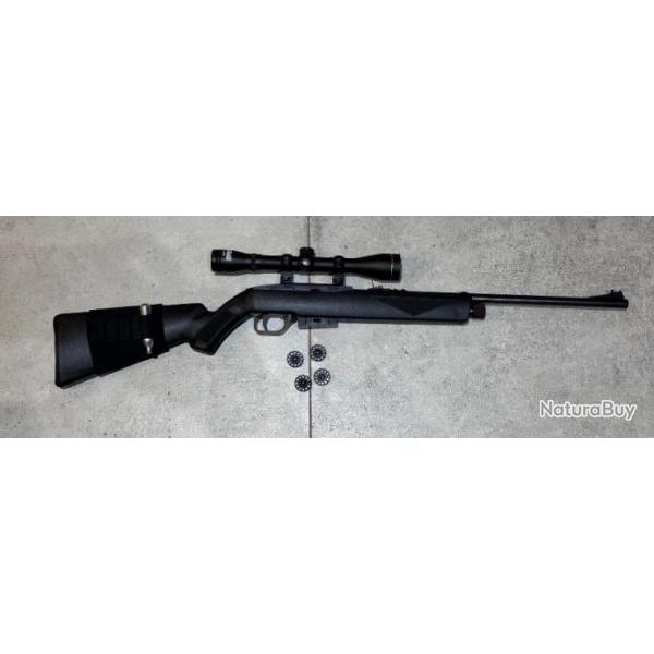 Carabine crosman repetair 1077