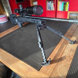 Tikka t1x custom