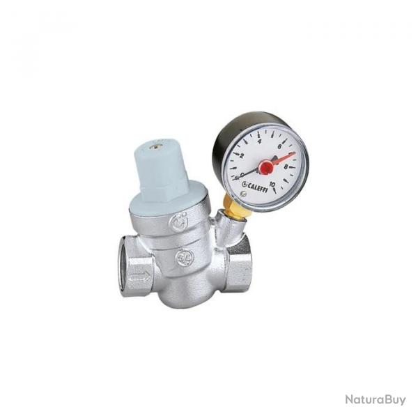 Rducteur de pression Thermador 533 cartouche incline pour eau froide 3/4'' FF avec manomtre