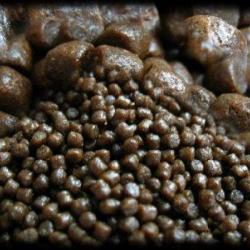 PELLETS EXTRUDE 5MM 5KG