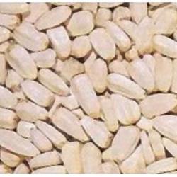 TOURNESOL BLANC 10KGS