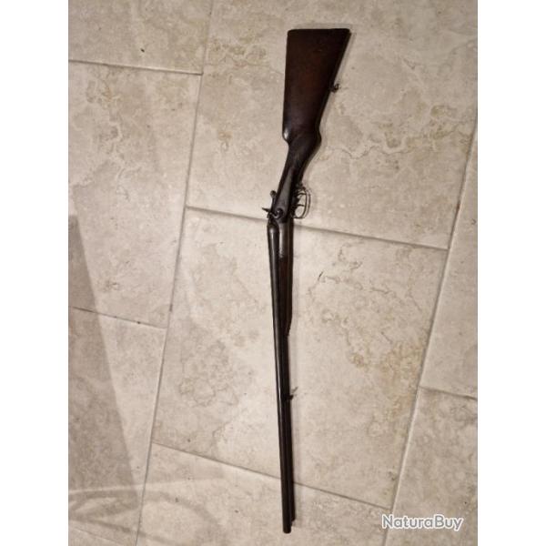 Fusil chien assis extrieure 16