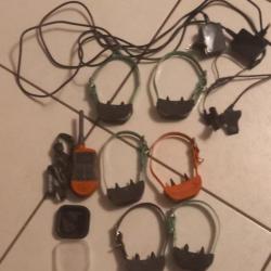 A vendre 6 collier dressage sportdog avec 6 chargeurs télécommande 6 colliers plus info mp