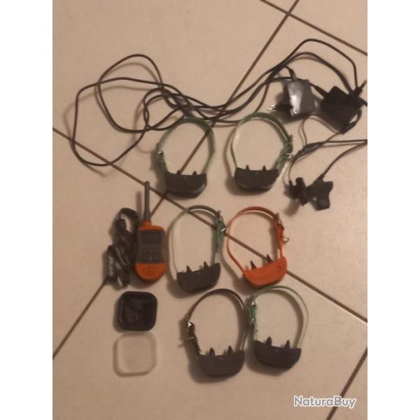 A vendre 6 collier dressage sportdog avec 6 chargeurs tlcommande 6 colliers plus info mp