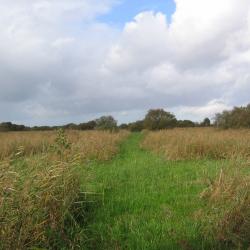 Marais tourbeux sur 6 ha avec étangs, huttes, parties boisées et platières (Nord Pas de Calais 59 62