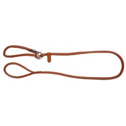 Laisse avec collier intégré pour chien 170 cm x 8mm