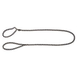 Laisse avec collier intégré pour chien 170cm x12mm