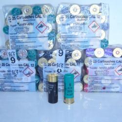 LOT DE CARTOUCHE CALIBRE 12  ACIER N° 6  24-28-30 BJ