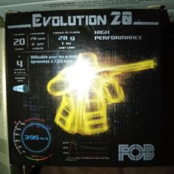 evolution 28