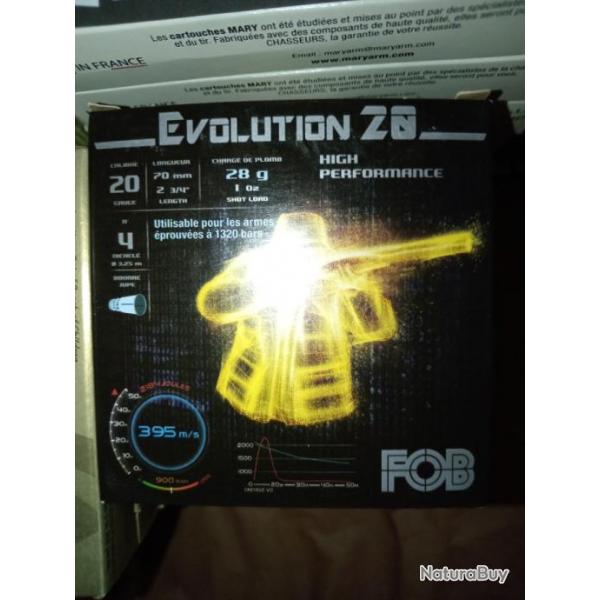 evolution 28