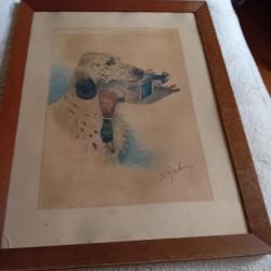 Litho véritable du peintre RIAB" setter et colvert"Dim cadre: 70x54