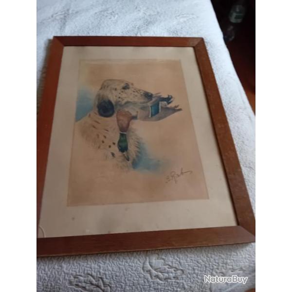 Litho vritable du peintre RIAB" setter et colvert"Dim cadre: 70x54