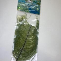 plume d'autruche vert olive