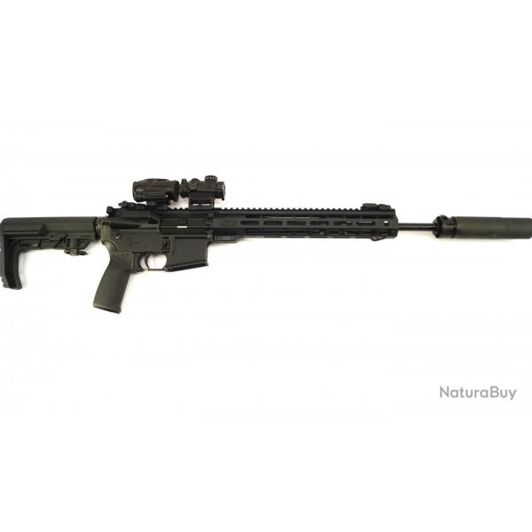 Carabine semi automatique type "Ar-15" WW-15 Windham 223 Remington