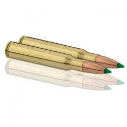 Balles Sologne Nosler Ballistic Tip - Cal. 30-06 Sprg Sub - Par 1