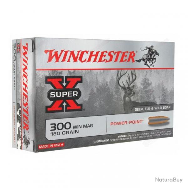 10 balles winchester 300 win