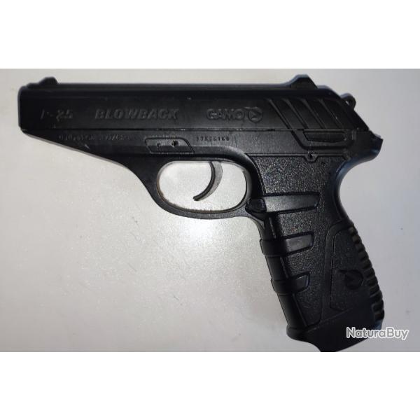 Gamo P25