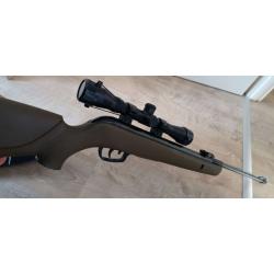 Carabine GAMO BIG cal 1000E + LUNETTE+HOUSE SOLOGNAC 19.9J