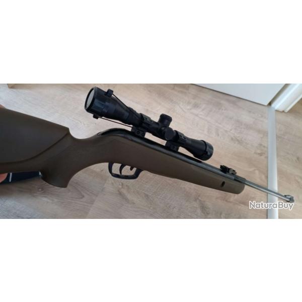 Carabine GAMO BIG cal 1000E + LUNETTE+HOUSE SOLOGNAC 19.9J