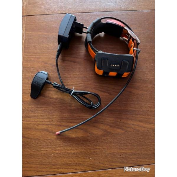 Collier garmin dc50 fr