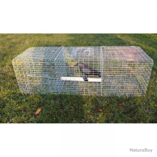 Pige  oiseaux, 3 compartiments - BOXTRAP