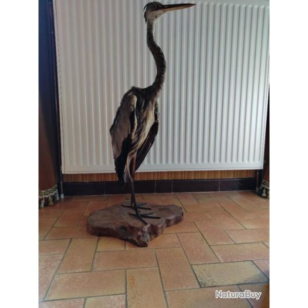 HERON naturalis sur socle bois