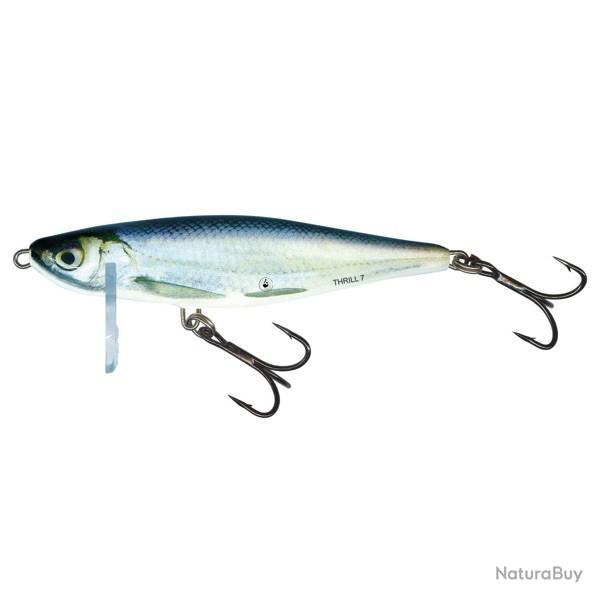 Poisson Nageur Salmo Thrill Sinking 7cm 13g 7cm RBL - Real Bleak