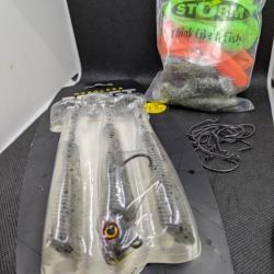 STORM 360 GT SEARCHBAIT + lot 15 leurres STORM HYPNOGRUB 10 cm + OFFERT 10 HAMEÇONS TEXAN VMC 1/0.