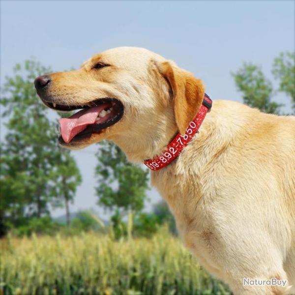 Collier Chien Nylon Brode Personnalise, Couleur: Au Choix, Taille: S