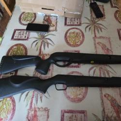 deux crosse carabine  gamo stoeger