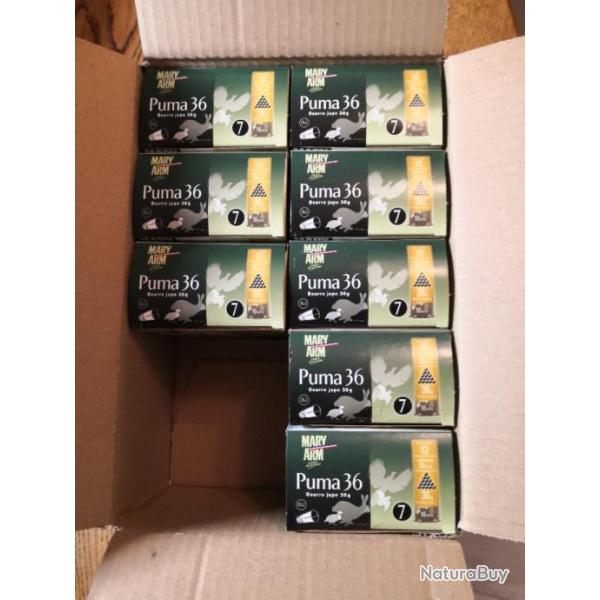 1 carton DE 200 CARTOUCHES MARY arme PUMA 36 BOURRE JUPE 36G plomb no 7 CAL 12