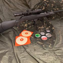 Gamo BIG CAT CF-S cal 4,5mm + HAWKE VANTAGE 3-9x40 AO MILDOT + montage SPORTMATCH + plombs diverses