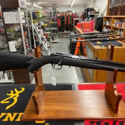 Ruger american rimfire 22 lr