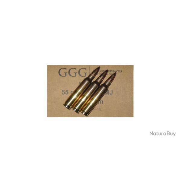 Munitions 223 Rem FMJ 55GR - GGG