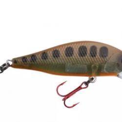 Poisson Nageur Spro Ikiru Flat Jerk 50 FS Season Varion