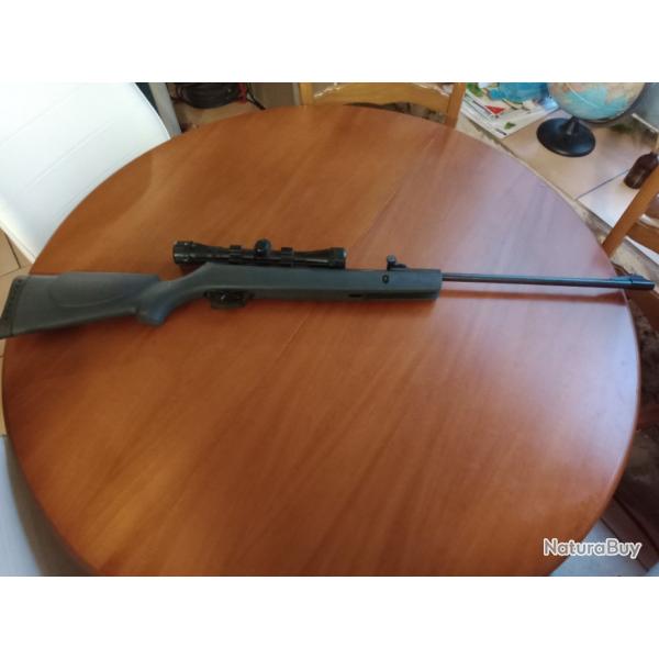 Gamo shadow 1000