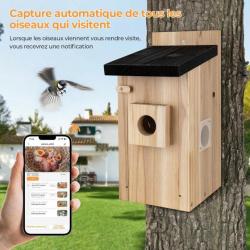 Caméra Nichoir 4 Millions de Pixels Observation en Temps réel de nids et de l'éclosion des Oiseaux