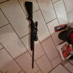 Fusil winchester sx4