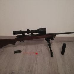 Carabine 22LR savage mark 2