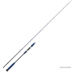 Canne Jigging Daiwa Legalis Oceano Casting 642 HB