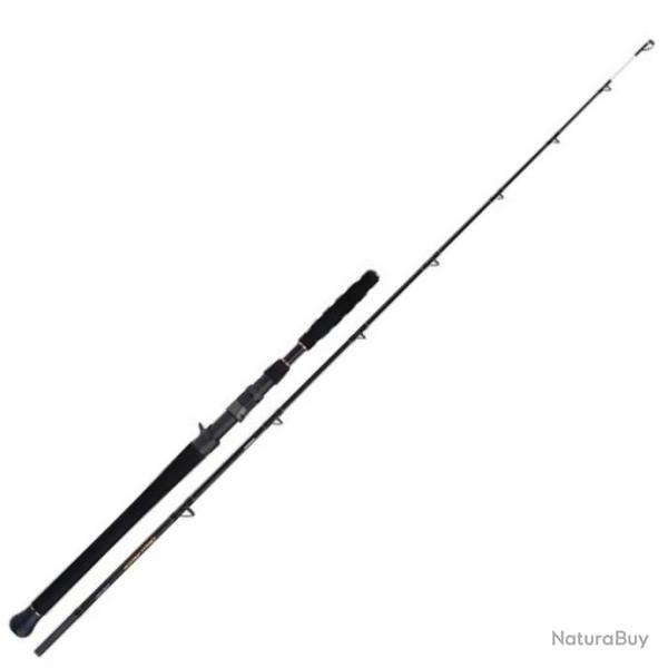 Canne Casting Shimano Beastmaster AX Catfish Vertical 2 Max 200 g 1m85 275g