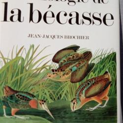 anthologie de la bécasse