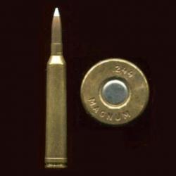 .244 Holland & Holland Belted Magnum - balle cuivre pointue - étui laiton de 70.6 mm