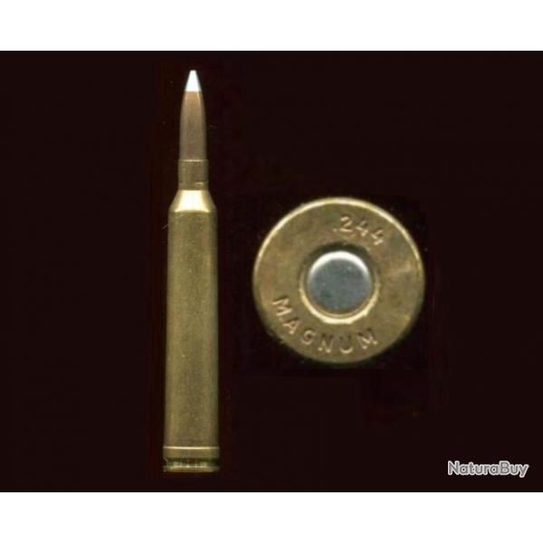 .244 Holland & Holland Belted Magnum - balle cuivre pointue - tui laiton de 70.6 mm