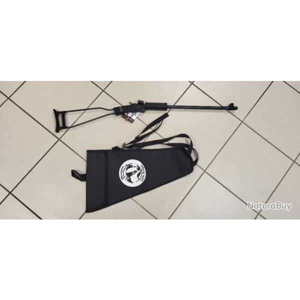 Carabine chiappa 22 lr